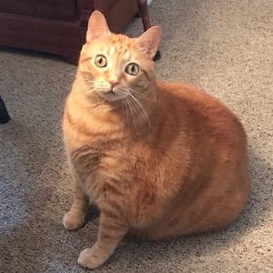 Meet your Posher, Brenda